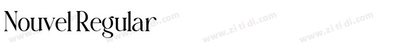 Nouvel Regular字体转换
